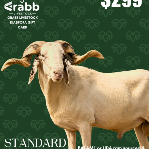 Standard Ram