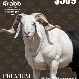 Premium Ram