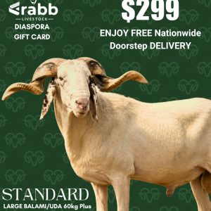 Standard Diaspora Gift Card